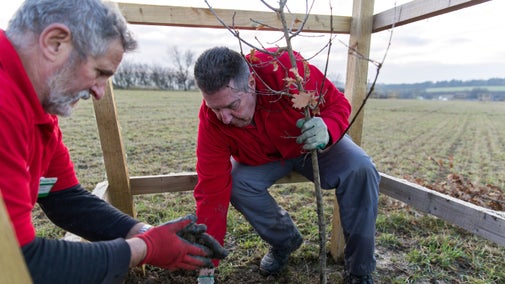 Two volunteers in red ranger fleeces are planting trees in the Hardwick Parkland.